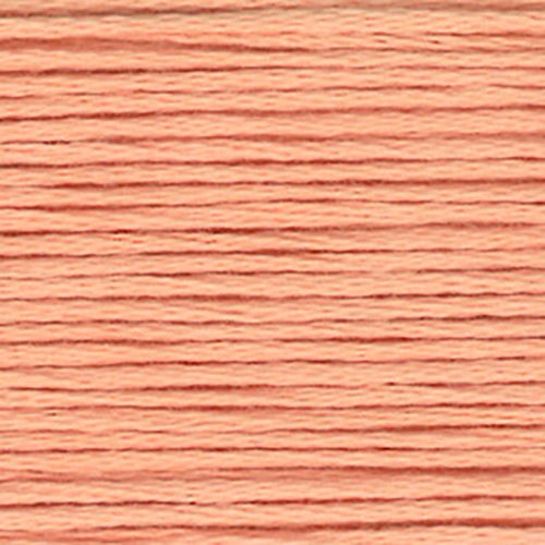Close-up of peach-orange embroidery floss