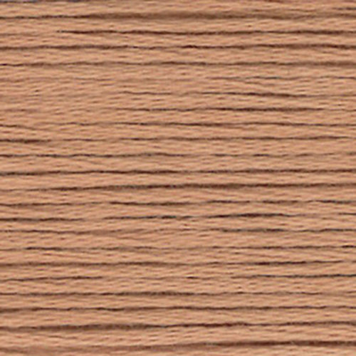 Close-up of beige-brown embroidery floss