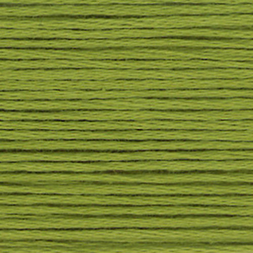 Close-up of green embroidery floss-thread texture