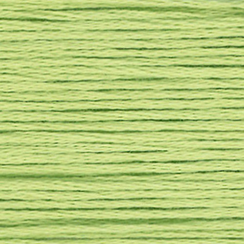 Close-up of light green embroidery floss-thread texture