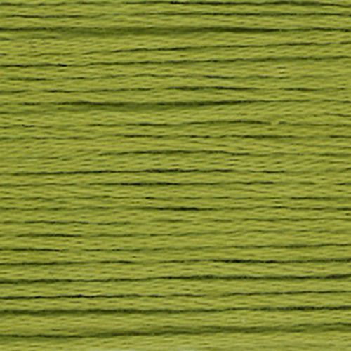 Close-up of green yellow embroidery floss       texture 